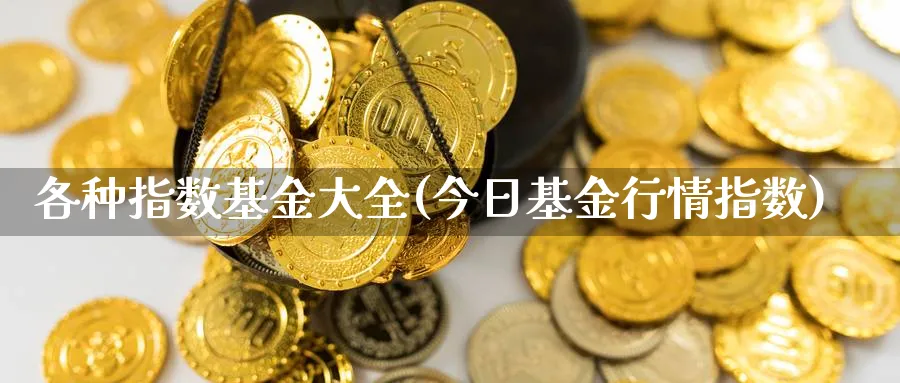 各种指数基金大全(今日基金行情指数)_https://www.yunsqy.com_纳指期货_第1张