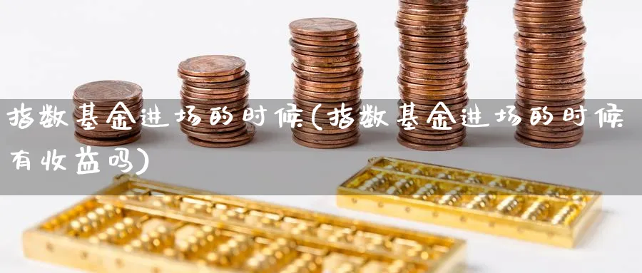 指数基金进场的时候(指数基金进场的时候有收益吗)_https://www.yunsqy.com_期货分类_第1张