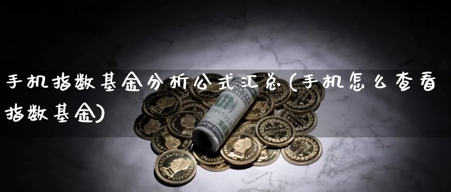 手机指数基金分析公式汇总(手机怎么查看指数基金)_https://www.yunsqy.com_期货分类_第1张