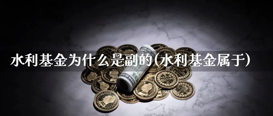 水利基金为什么是副的(水利基金属于)_https://www.yunsqy.com_期货入门_第1张