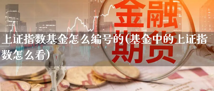 上证指数基金怎么编号的(基金中的上证指数怎么看)_https://www.yunsqy.com_原油期货_第1张