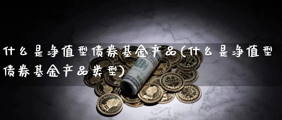 什么是净值型债券基金产品(什么是净值型债券基金产品类型)_https://www.yunsqy.com_期货入门_第1张