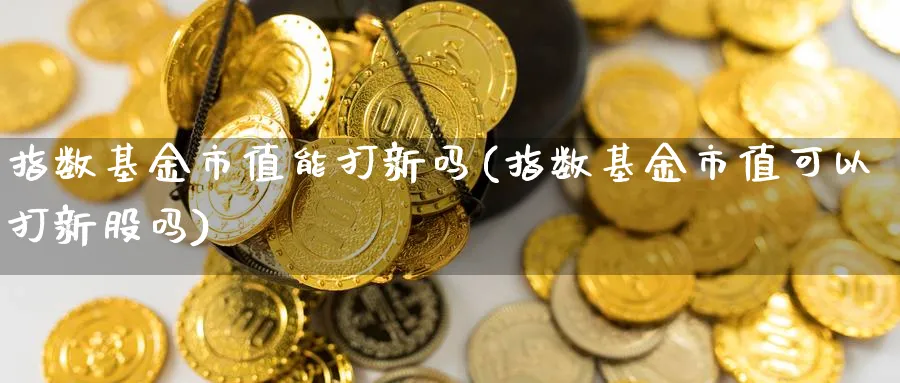 指数基金市值能打新吗(指数基金市值可以打新股吗)_https://www.yunsqy.com_黄金期货_第1张