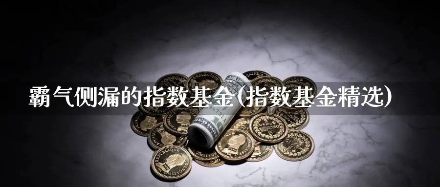 霸气侧漏的指数基金(指数基金精选)_https://www.yunsqy.com_期货整理_第1张