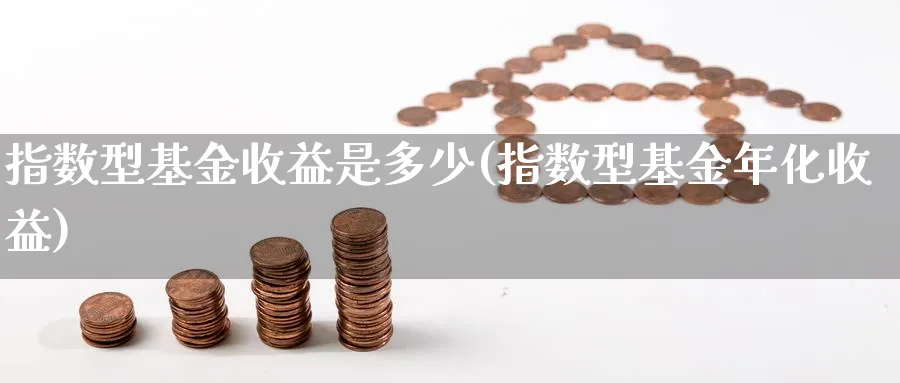 指数型基金收益是多少(指数型基金年化收益)_https://www.yunsqy.com_期货技术_第1张