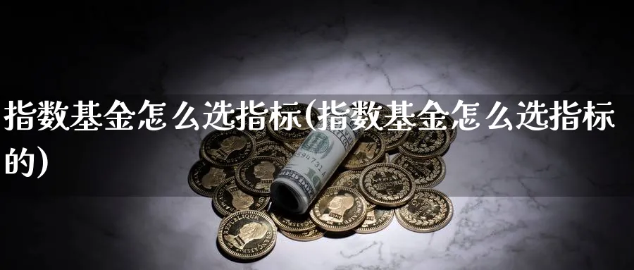 指数基金怎么选指标(指数基金怎么选指标的)_https://www.yunsqy.com_黄金期货_第1张