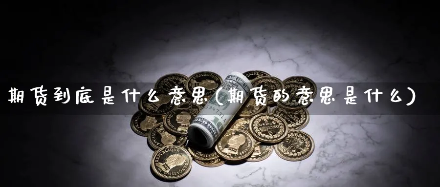 期货到底是什么意思(期货的意思是什么)_https://www.yunsqy.com_纳指期货_第1张