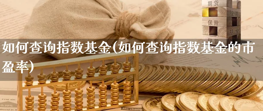 如何查询指数基金(如何查询指数基金的市盈率)_https://www.yunsqy.com_期货理财_第1张