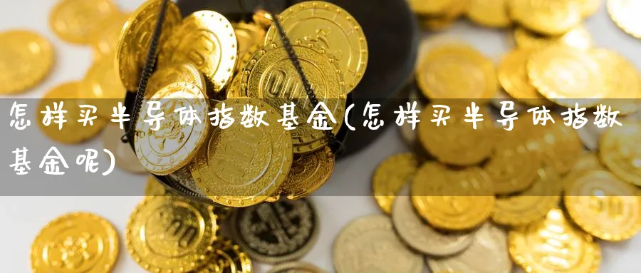 怎样买半导体指数基金(怎样买半导体指数基金呢)_https://www.yunsqy.com_期货分类_第1张