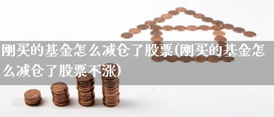 刚买的基金怎么减仓了股票(刚买的基金怎么减仓了股票不涨)_https://www.yunsqy.com_期货入门_第1张