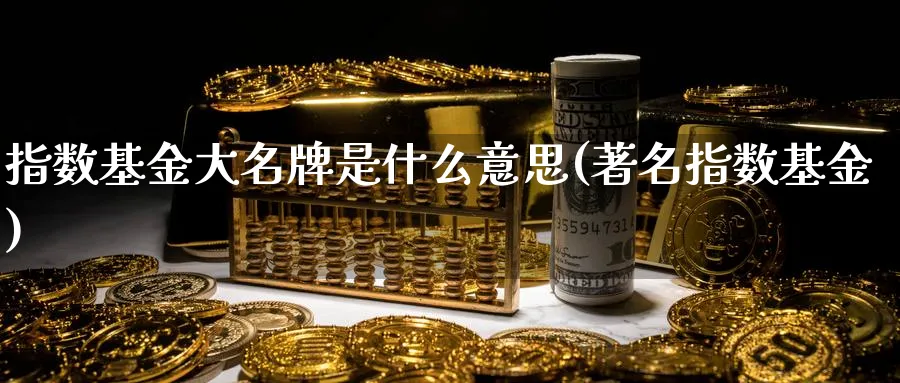 指数基金大名牌是什么意思(著名指数基金)_https://www.yunsqy.com_期货分类_第1张