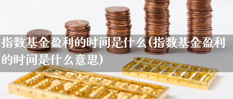 指数基金盈利的时间是什么(指数基金盈利的时间是什么意思)_https://www.yunsqy.com_期货整理_第1张