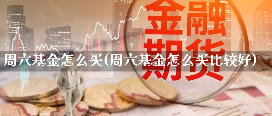 周六基金怎么买(周六基金怎么买比较好)_https://www.yunsqy.com_期货入门_第1张