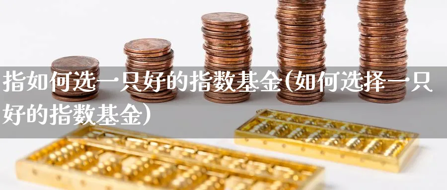 指如何选一只好的指数基金(如何选择一只好的指数基金)_https://www.yunsqy.com_纳指期货_第1张