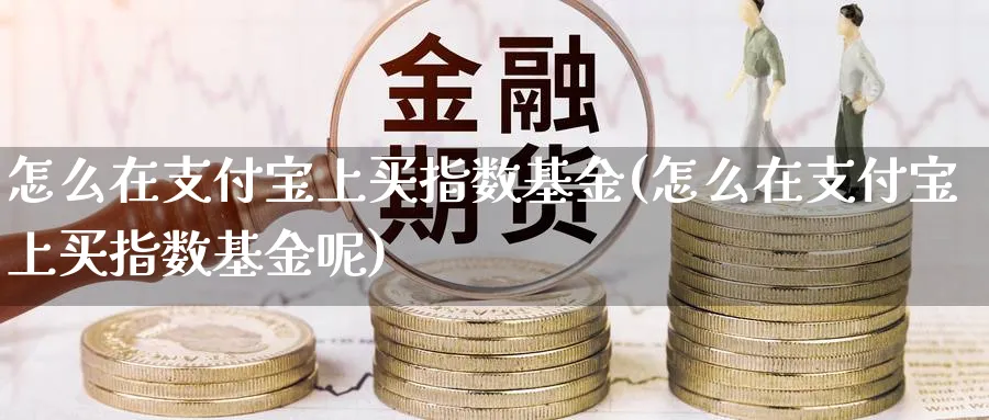 怎么在支付宝上买指数基金(怎么在支付宝上买指数基金呢)_https://www.yunsqy.com_期货技术_第1张