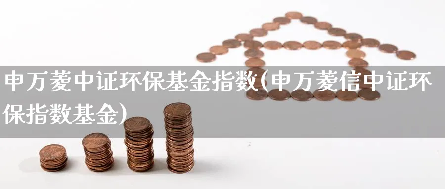 申万菱中证环保基金指数(申万菱信中证环保指数基金)_https://www.yunsqy.com_期货技术_第1张