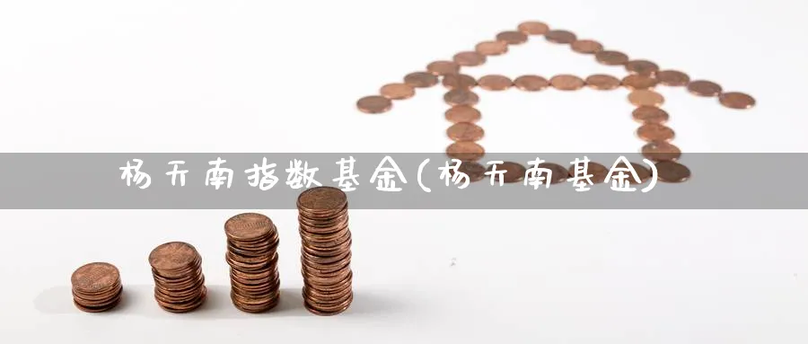 杨天南指数基金(杨天南基金)_https://www.yunsqy.com_期货入门_第1张