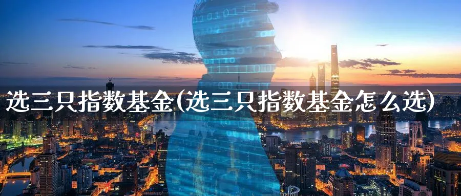 选三只指数基金(选三只指数基金怎么选)_https://www.yunsqy.com_期货分类_第1张