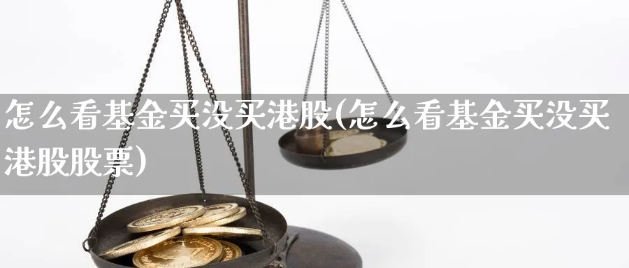 怎么看基金买没买港股(怎么看基金买没买港股股票)_https://www.yunsqy.com_原油期货_第1张