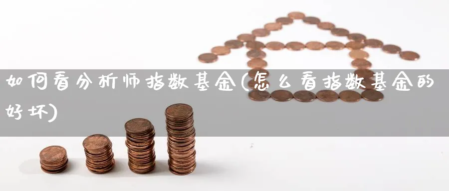 如何看分析师指数基金(怎么看指数基金的好坏)_https://www.yunsqy.com_理财百科_第1张