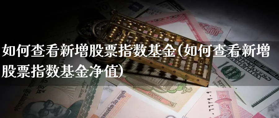 如何查看新增股票指数基金(如何查看新增股票指数基金净值)_https://www.yunsqy.com_期货入门_第1张