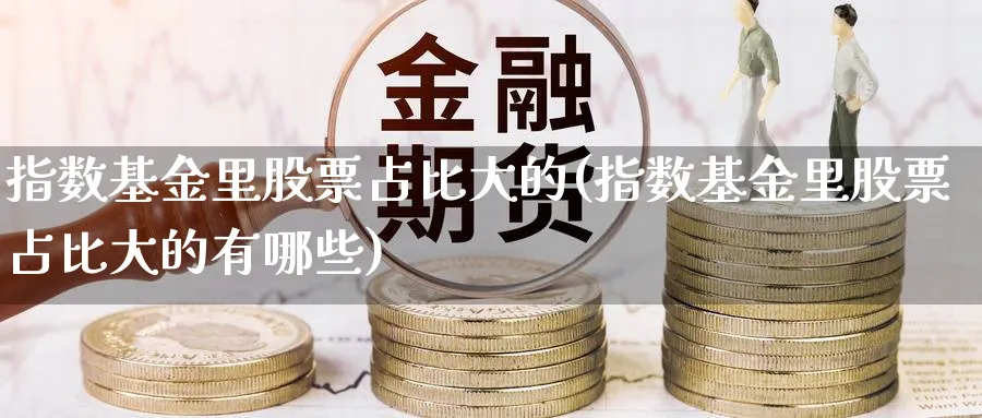 指数基金里股票占比大的(指数基金里股票占比大的有哪些)_https://www.yunsqy.com_原油期货_第1张