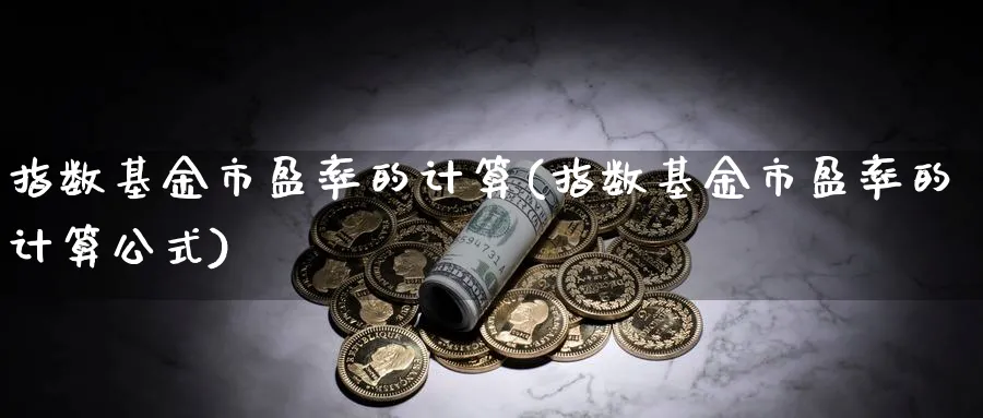 指数基金市盈率的计算(指数基金市盈率的计算公式)_https://www.yunsqy.com_原油期货_第1张