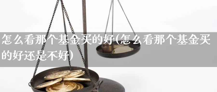 怎么看那个基金买的好(怎么看那个基金买的好还是不好)_https://www.yunsqy.com_纳指期货_第1张