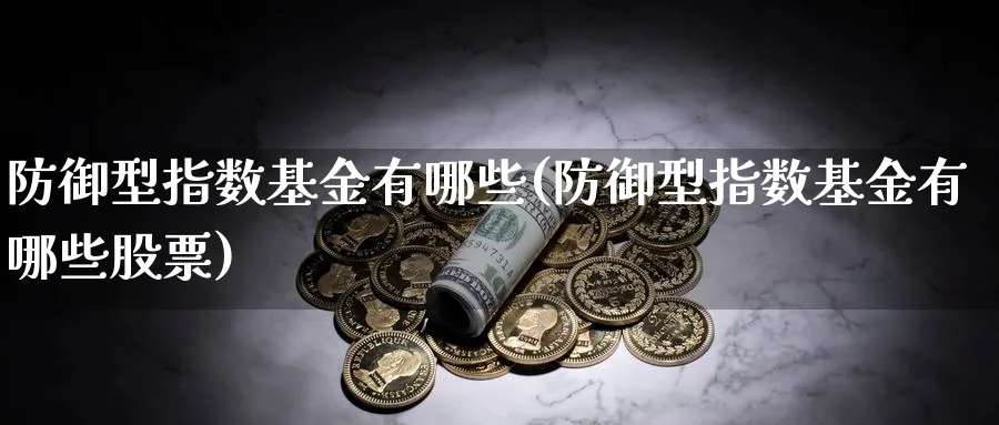 防御型指数基金有哪些(防御型指数基金有哪些股票)_https://www.yunsqy.com_理财百科_第1张