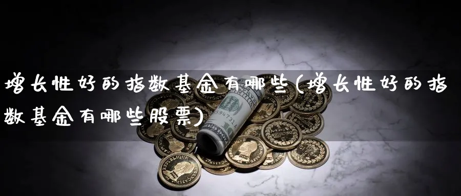 增长性好的指数基金有哪些(增长性好的指数基金有哪些股票)_https://www.yunsqy.com_纳指期货_第1张