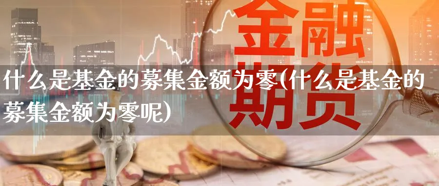 什么是基金的募集金额为零(什么是基金的募集金额为零呢)_https://www.yunsqy.com_期货技术_第1张