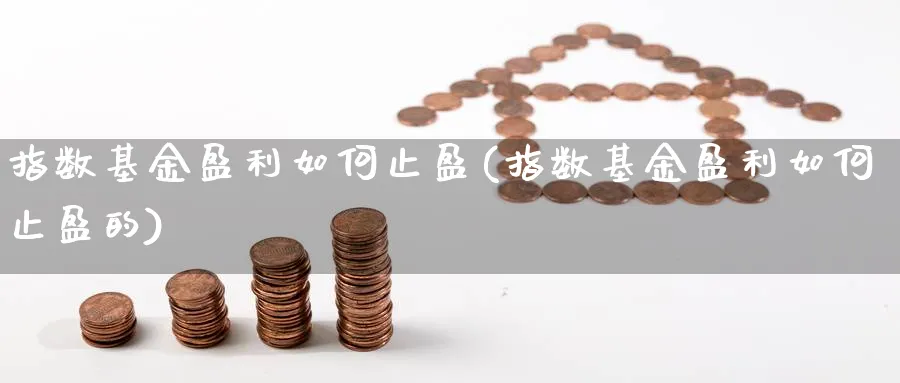 指数基金盈利如何止盈(指数基金盈利如何止盈的)_https://www.yunsqy.com_期货入门_第1张