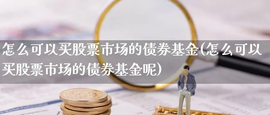 怎么可以买股票市场的债券基金(怎么可以买股票市场的债券基金呢)_https://www.yunsqy.com_期货入门_第1张