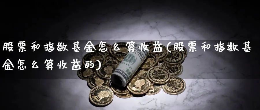 股票和指数基金怎么算收益(股票和指数基金怎么算收益的)_https://www.yunsqy.com_期货整理_第1张