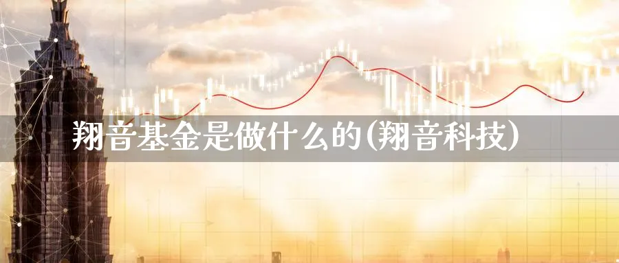 翔音基金是做什么的(翔音科技)_https://www.yunsqy.com_期货整理_第1张