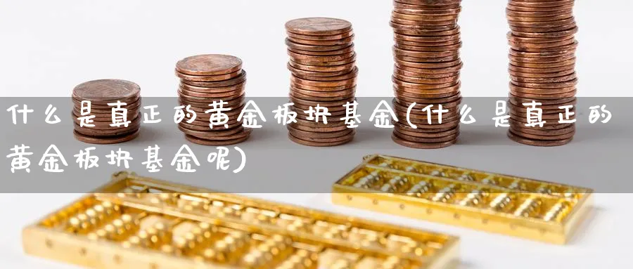 什么是真正的黄金板块基金(什么是真正的黄金板块基金呢)_https://www.yunsqy.com_原油期货_第1张