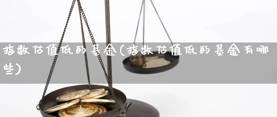 指数估值低的基金(指数估值低的基金有哪些)_https://www.yunsqy.com_期货整理_第1张