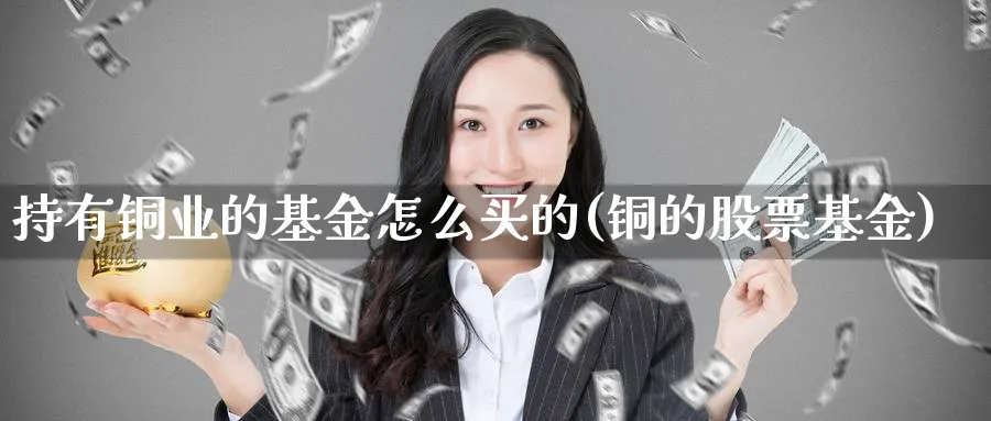 持有铜业的基金怎么买的(铜的股票基金)_https://www.yunsqy.com_纳指期货_第1张