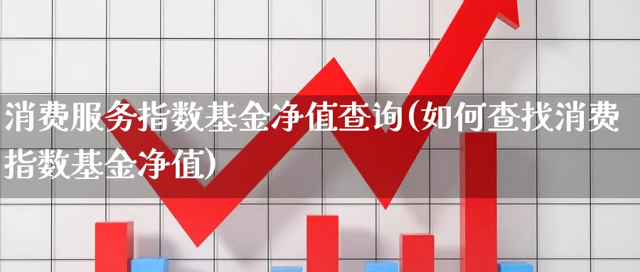 消费服务指数基金净值查询(如何查找消费指数基金净值)_https://www.yunsqy.com_期货整理_第1张