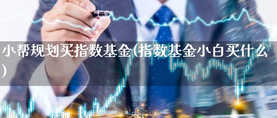 小帮规划买指数基金(指数基金小白买什么)_https://www.yunsqy.com_原油期货_第1张