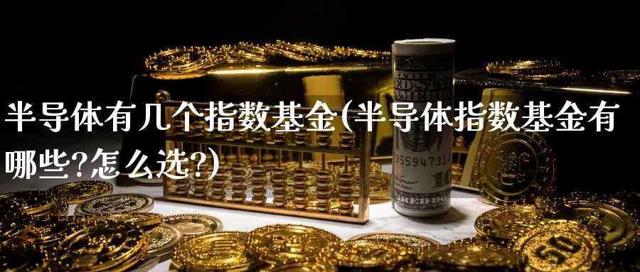 半导体有几个指数基金(半导体指数基金有哪些?怎么选?)_https://www.yunsqy.com_期货直播_第1张