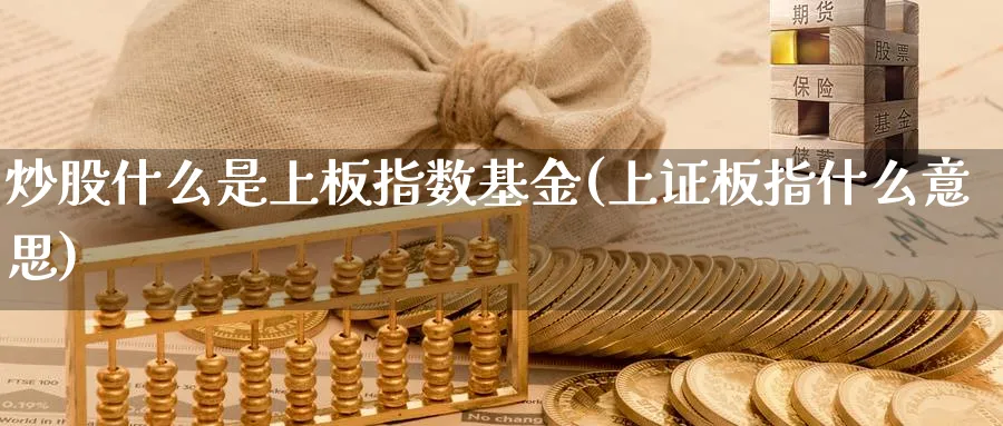 炒股什么是上板指数基金(上证板指什么意思)_https://www.yunsqy.com_期货入门_第1张