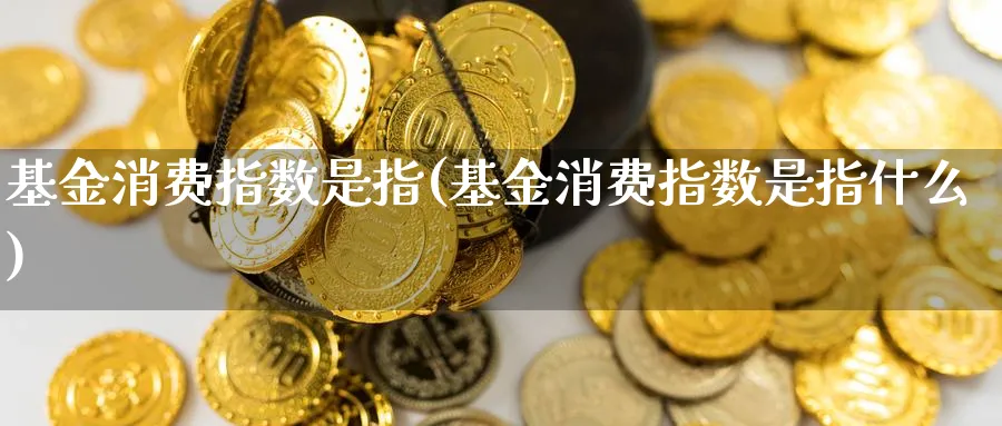 基金消费指数是指(基金消费指数是指什么)_https://www.yunsqy.com_纳指期货_第1张