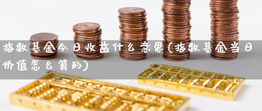 指数基金今日收益什么意思(指数基金当日价值怎么算的)_https://www.yunsqy.com_期货理财_第1张