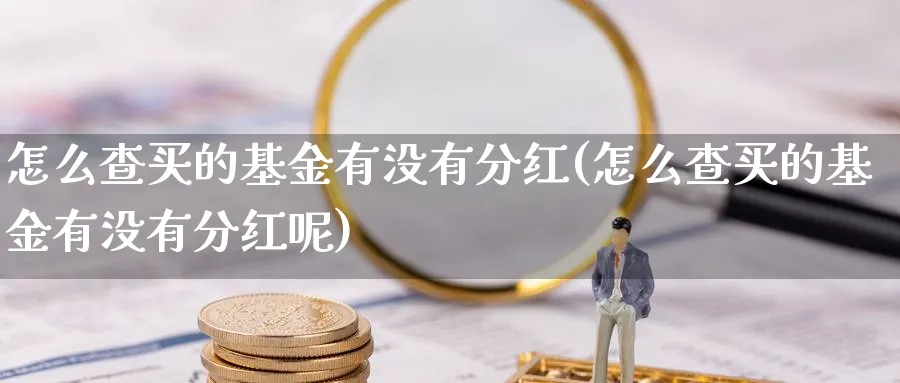 怎么查买的基金有没有分红(怎么查买的基金有没有分红呢)_https://www.yunsqy.com_纳指期货_第1张