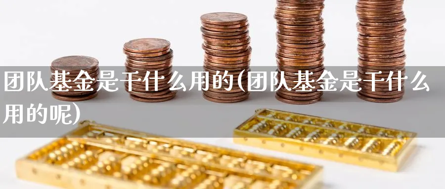 团队基金是干什么用的(团队基金是干什么用的呢)_https://www.yunsqy.com_理财百科_第1张