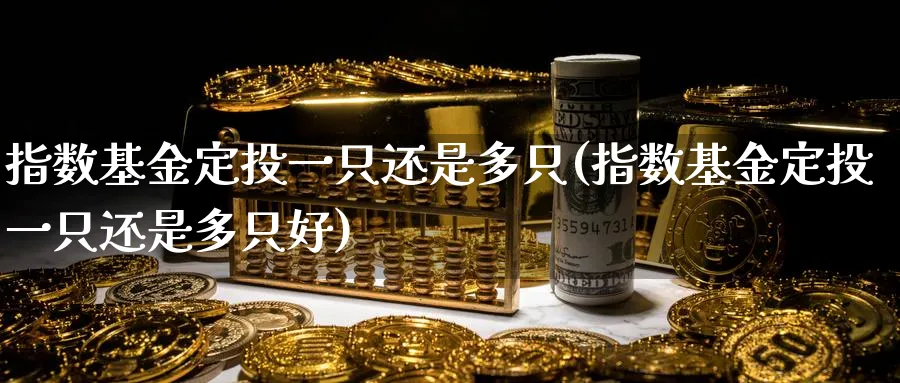 指数基金定投一只还是多只(指数基金定投一只还是多只好)_https://www.yunsqy.com_原油期货_第1张