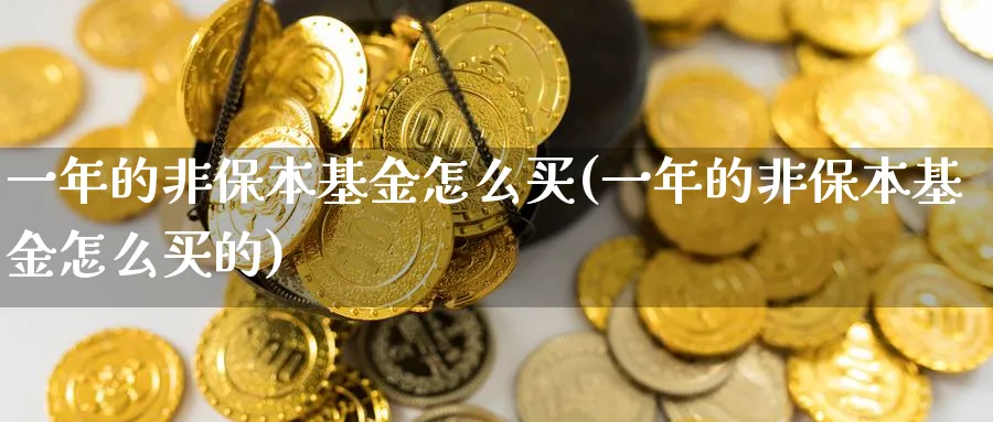 一年的非保本基金怎么买(一年的非保本基金怎么买的)_https://www.yunsqy.com_理财百科_第1张