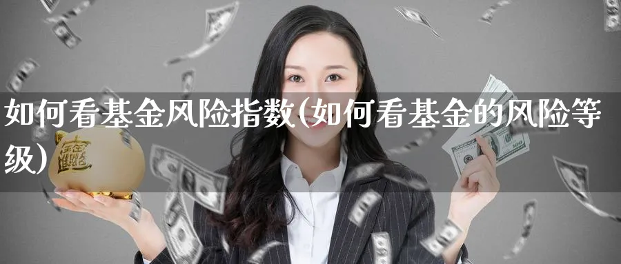 如何看基金风险指数(如何看基金的风险等级)_https://www.yunsqy.com_黄金期货_第1张