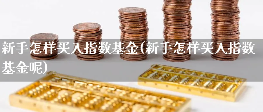 新手怎样买入指数基金(新手怎样买入指数基金呢)_https://www.yunsqy.com_期货整理_第1张